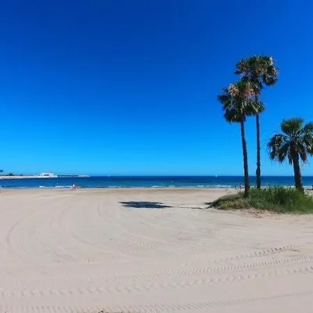 Espagne Flora トレビエハ